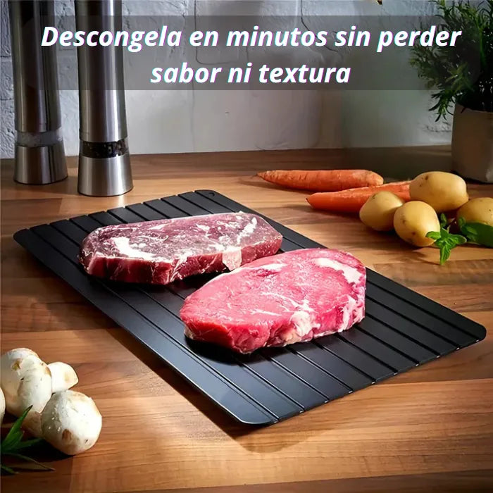PLANCHA DESCONGELADORA DE ALIMENTOS