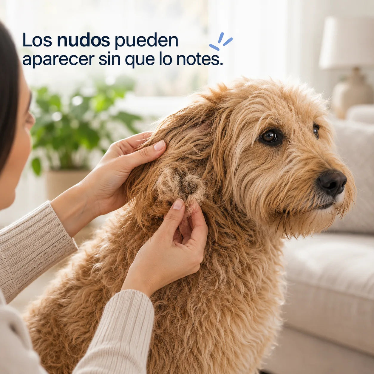 Cepillo Desenredante para Mascotas - Elimina nudos y pelo muerto con suavidad