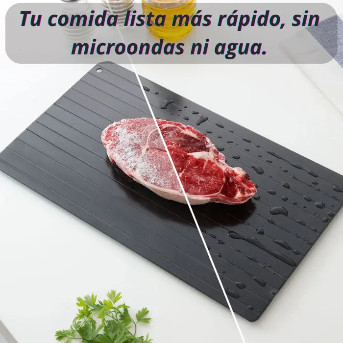 PLANCHA DESCONGELADORA DE ALIMENTOS