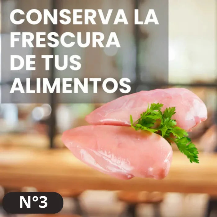 PLANCHA DESCONGELADORA DE ALIMENTOS
